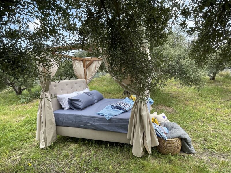 Asprochomata – Voutes Heraklion – Olive grove