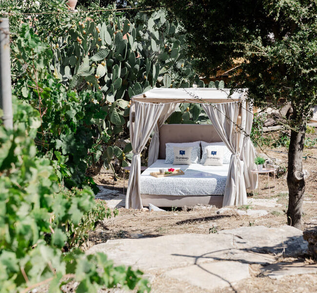 Starsleep Dourakis Winery 4